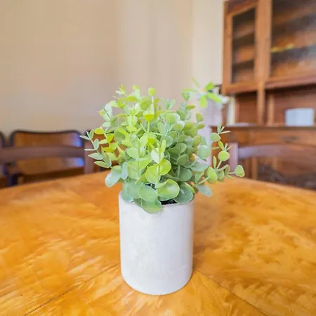 166 - Casa Mosaico, Vicino Al Centro Citta *